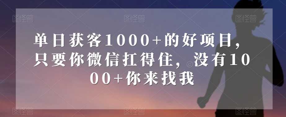 单日获客1000+的好项目，只要你微信扛得住，没有1000+你来找我【揭秘】