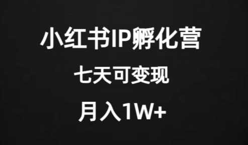 价值2000+的小红书IP孵化营项目，超级大蓝海，七天即可开始变现，稳定月入1W+