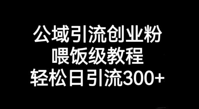 公域引流创业粉，喂饭级教程，轻松日引流300+【揭秘】