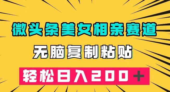 微头条冷门美女相亲赛道，无脑复制粘贴，轻松日入200＋【揭秘】