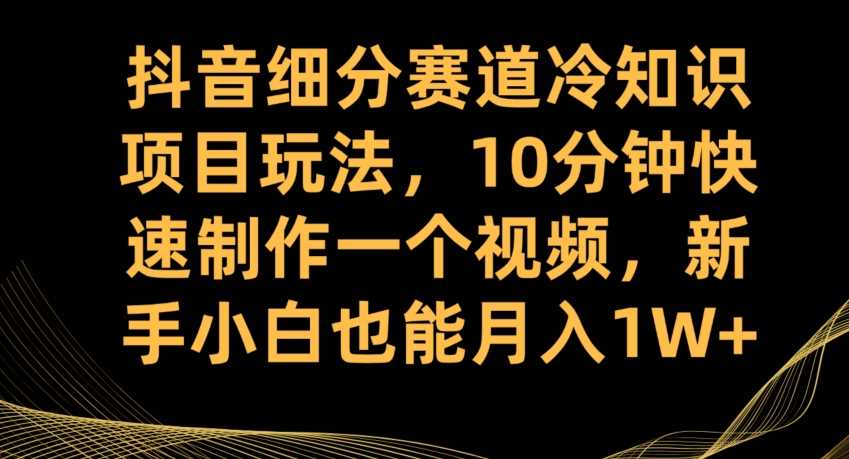 抖音细分赛道冷知识项目玩法，10分钟快速制作一个视频，新手小白也能月入1W+【揭秘】