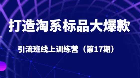 打造淘系标品大爆款引流班线上训练营（第17期）5天直播授课