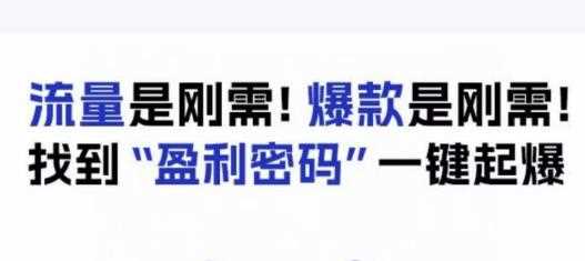 电商盈利精品课：6大盈利密码让产品更好卖，流量是刚需！爆款是刚需！找到”盈利密码”一键起爆