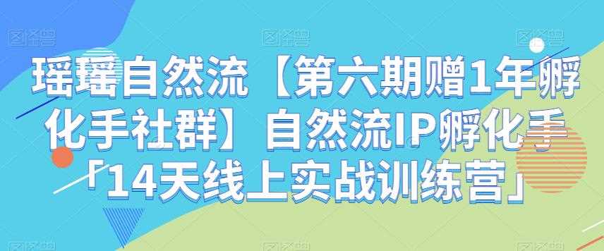 瑶瑶自然流【第六期赠1年孵化手社群】自然流IP孵化手「14天线上实战训练营」