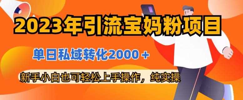 2023年引流宝妈粉项目，单日私域转化2000＋，新手小白也可轻松上手操作，纯实操