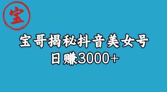 宝哥揭秘抖音美女号玩法，日赚3000+【揭秘】