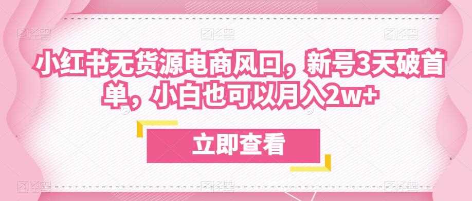 众狼电商余文小红书无货源电商风口，新号3天破首单，小白也可以月入2w+