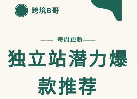 【跨境B哥】独立站潜力爆款选品推荐，测款出单率高达百分之80