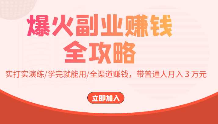 爆火副业赚钱全攻略：实打实演练/学完就能用/全渠道赚钱，带普通人月入３万元