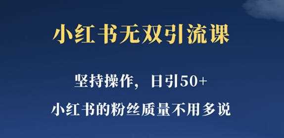 小红书无双课一天引50+女粉，不用做视频发视频，小白也很容易上手拿到结果【仅揭秘】