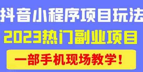 抖音小程序9.0新技巧，2023热门副业项目，动动手指轻松变现