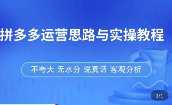 拼多多店铺运营思路与实操教程，快速学会拼多多开店和运营，少踩坑，多盈利