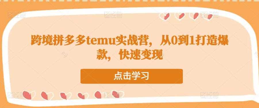 跨境拼多多temu实战营，从0到1打造爆款，快速变现