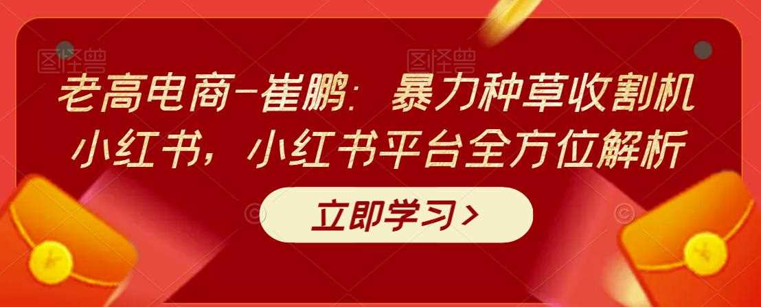 老高电商-崔鹏：暴力种草收割机小红书，小红书平台全方位解析