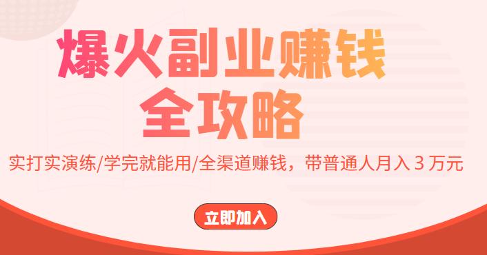 爆火副业赚钱全攻略：实打实演练/学完就能用/全渠道赚钱，带普通人月入３万元！