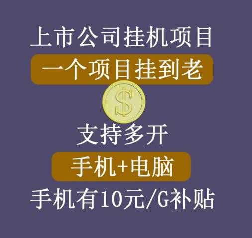 【上市公司】睿思挂机项目，一个项目挂到老，支持手机+电脑+虚拟机多开