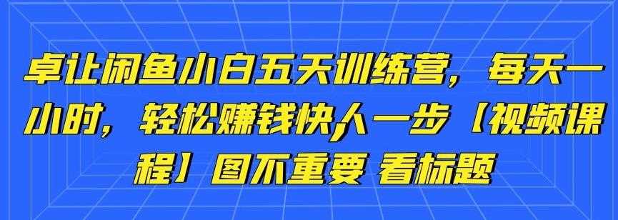 卓让闲鱼小白五天训练营，每天一小时，轻松赚钱快人一步【视频课程】