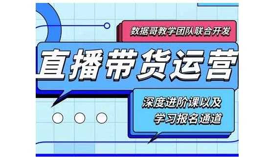 数据哥·新直播带货运营课(含电子资料)：破冷启动、818算法破解、高效率带货等