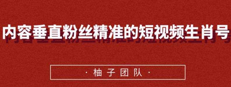 内容垂直粉丝精准的短视频生肖号，小众领域简单操作月入10000+【视频课程】