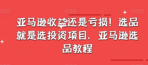 亚马逊收益还是亏损！选品就是选投资项目，亚马逊选品教程